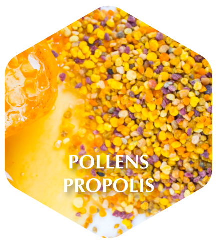 pollens propolis